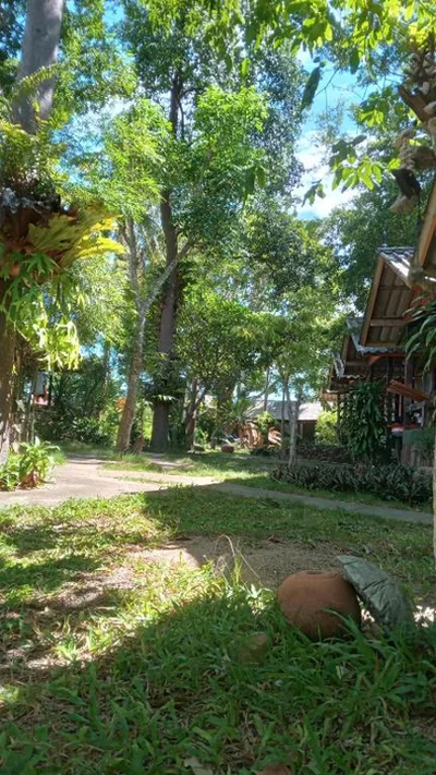 Bamboo Bungalow - Thong Nai Pan Yai – Photos 8
